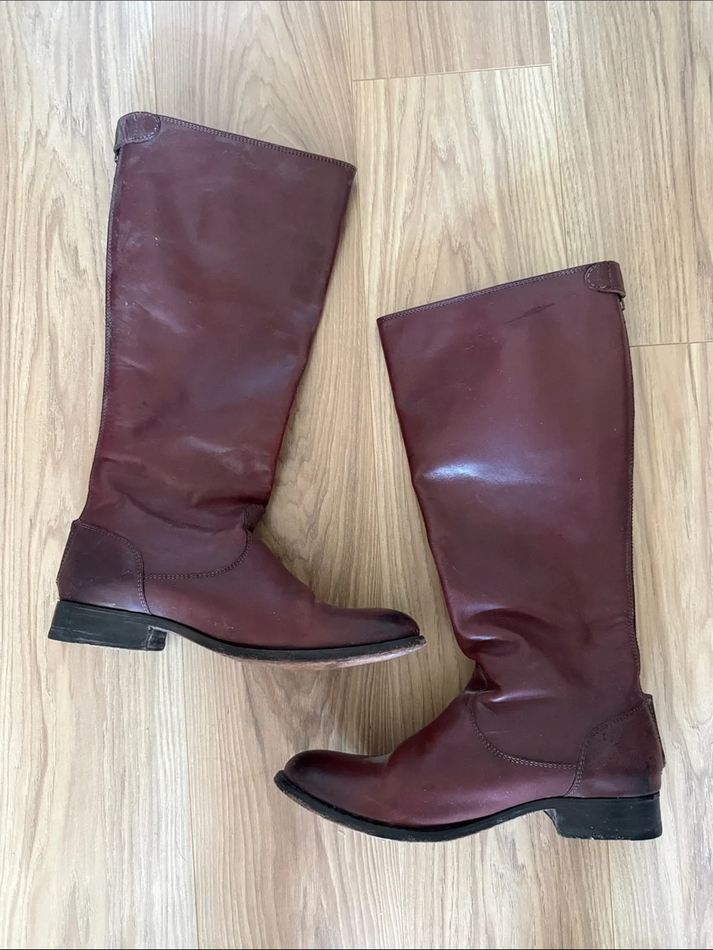 Frye Women's Tall Riding Boots in Burgundy / Dark Brown